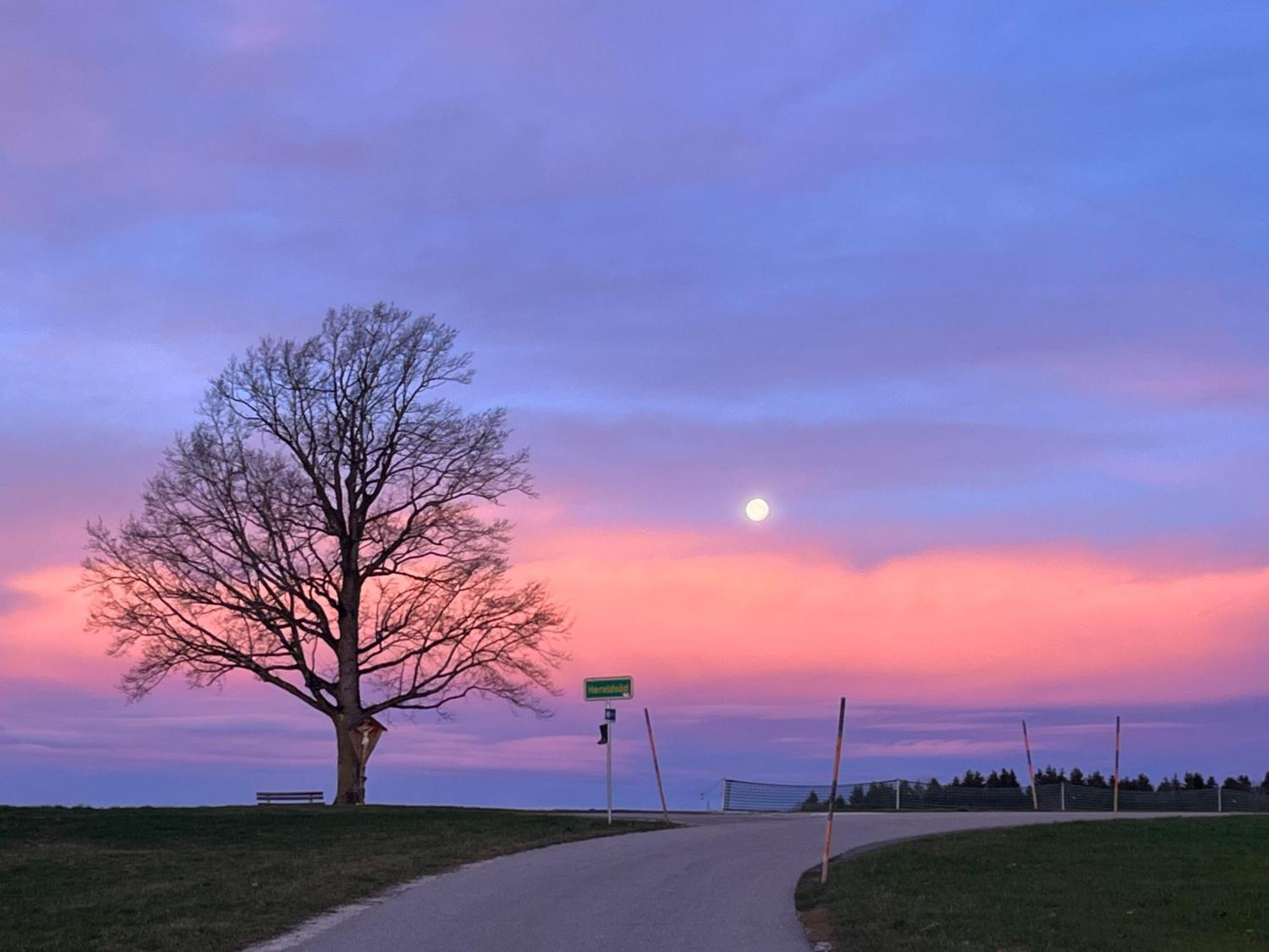 Ferienwohnung Am Chiemsee Bernau am Chiemsee Eksteriør bilde