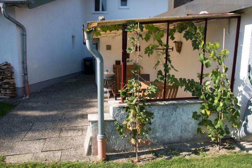 Ferienwohnung Am Chiemsee Bernau am Chiemsee Eksteriør bilde